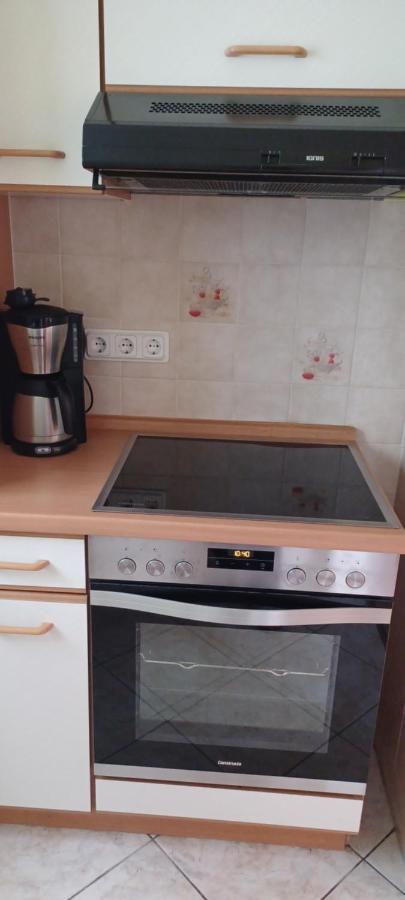 Haseltal Apartment Suhl Ngoại thất bức ảnh